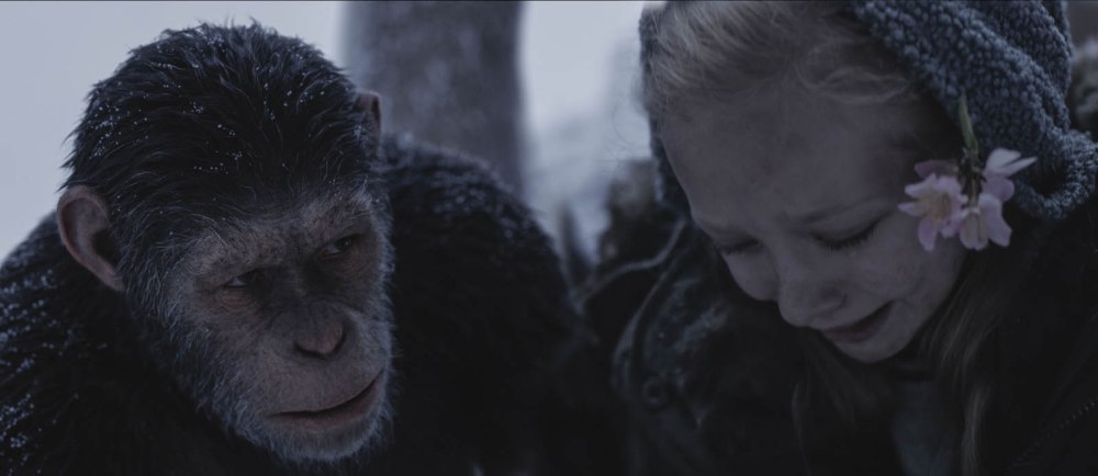 La planète des singes 8