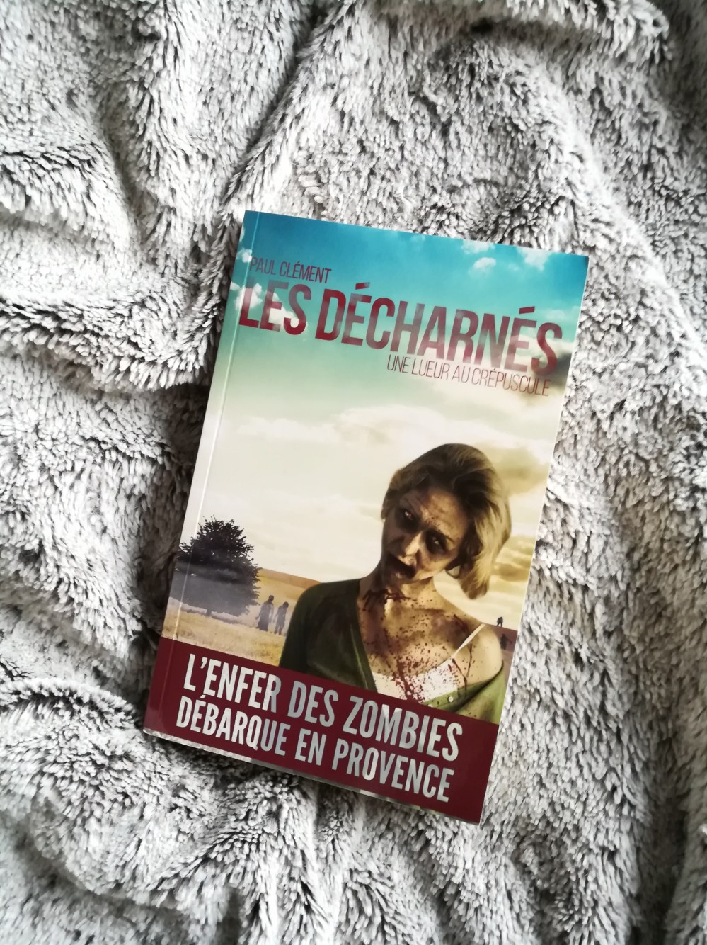 les-decharnes-paul-clement