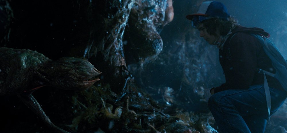 tomabooks-stranger-things-dustin