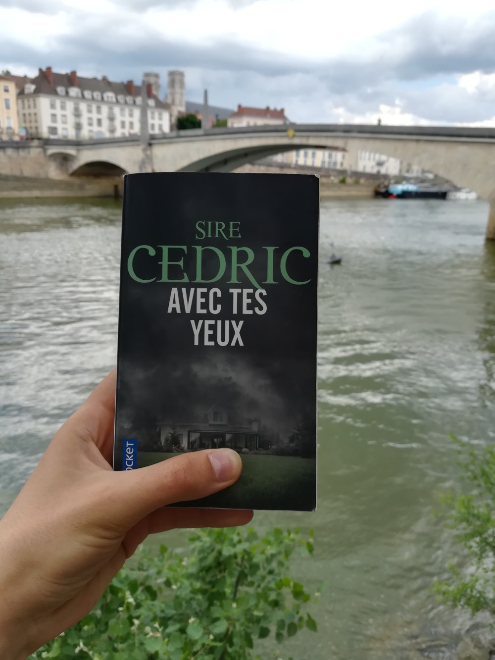 avis-tomabooks-avec-tes-yeux-cedric-sire