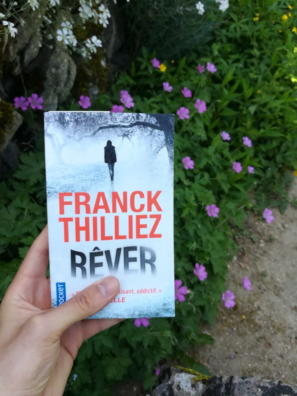 avis-tomabooks-rever-franck-thilliez