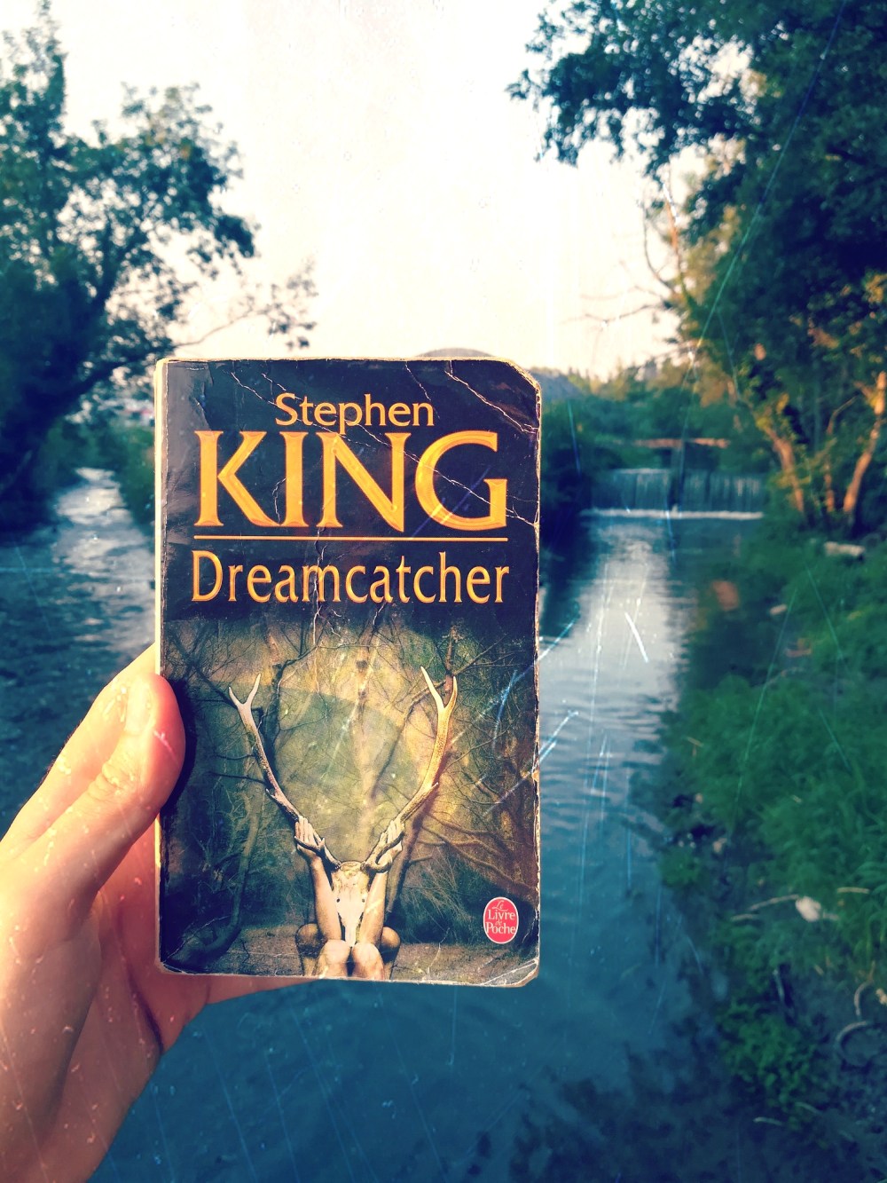 tomabooks-dreamcatcher-stephen-king
