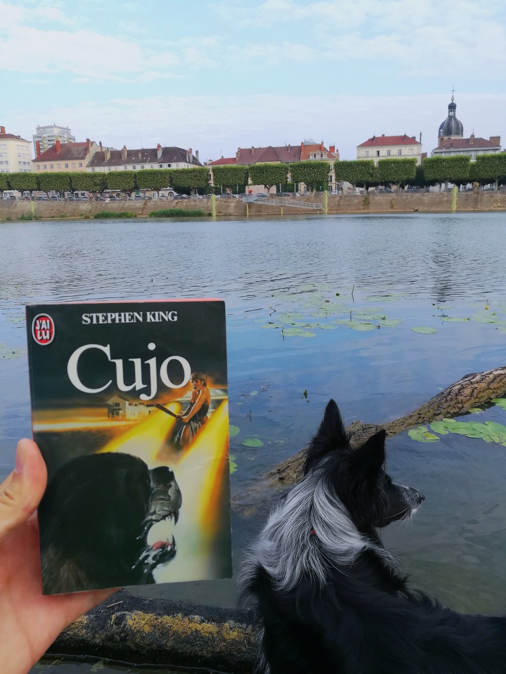 Processed with VSCO with  preset