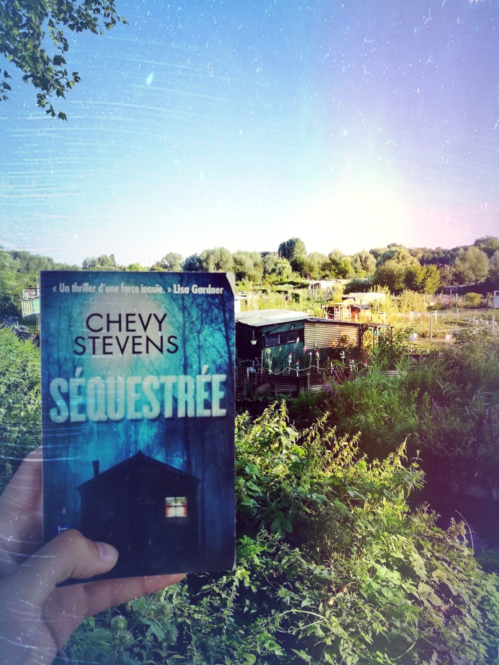 tomabooks-chevy-stevens-sequestree