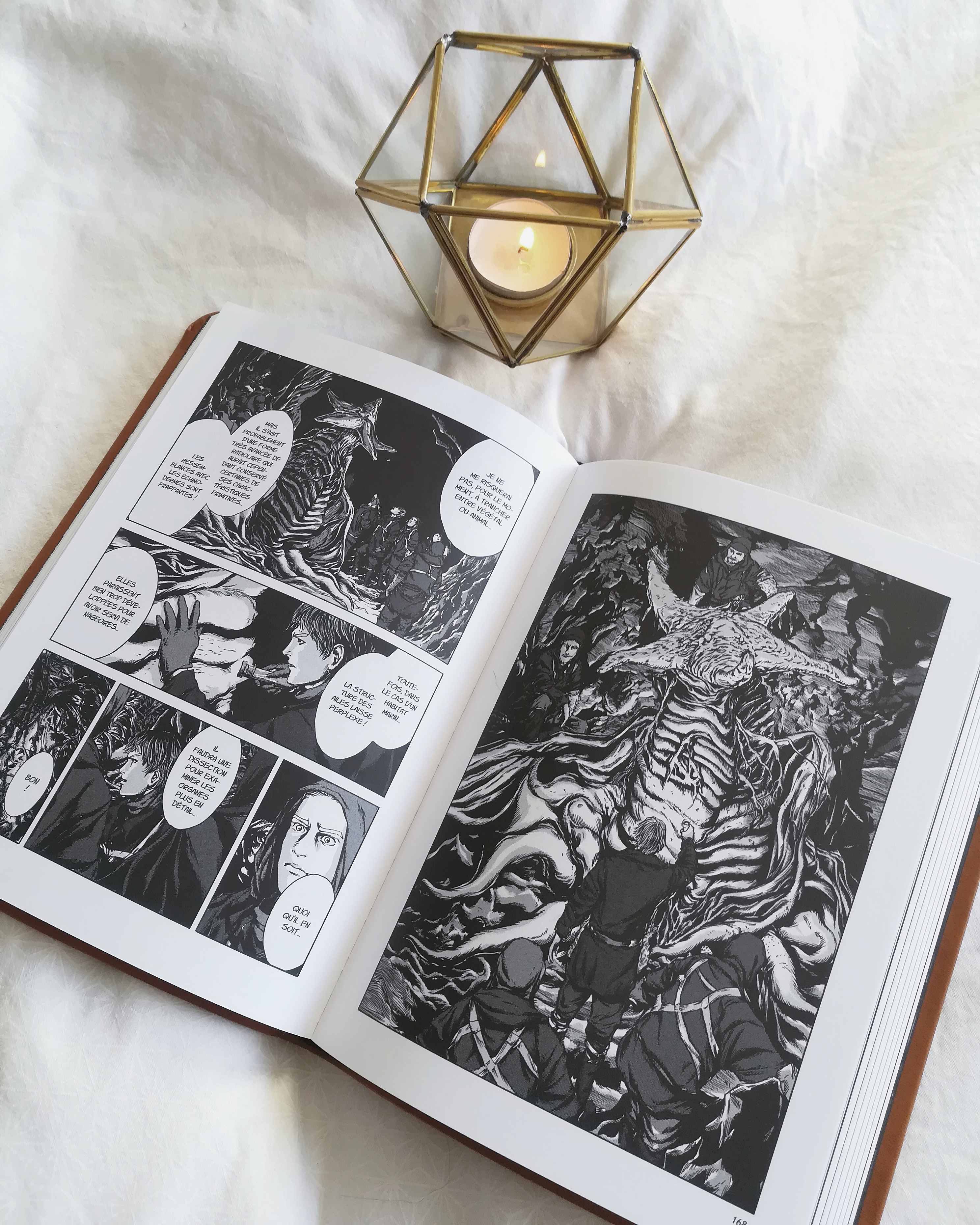 gou-tanabe-les-montagnes-hallucinees