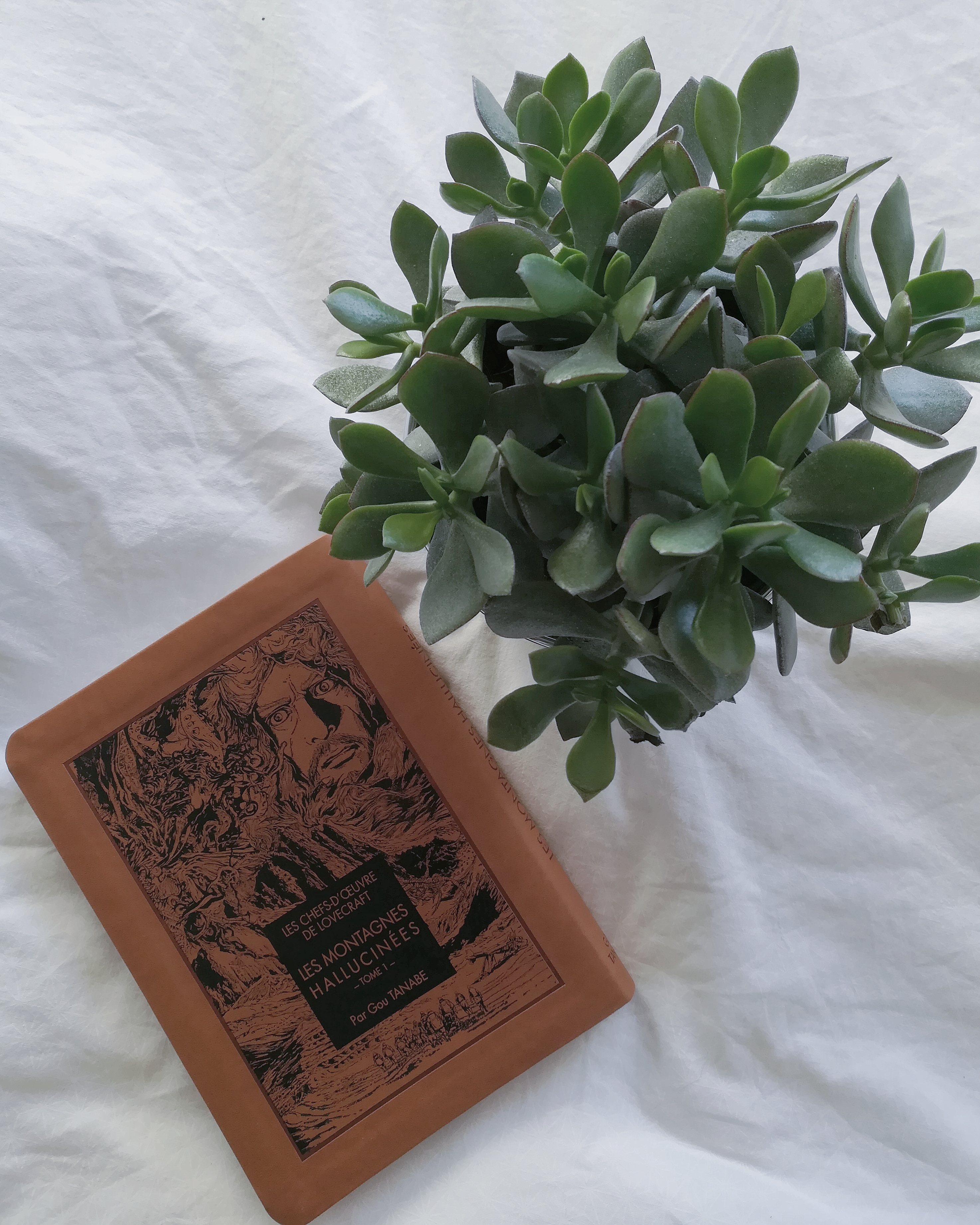 gou-tanabe-les-montagnes-hallucinees