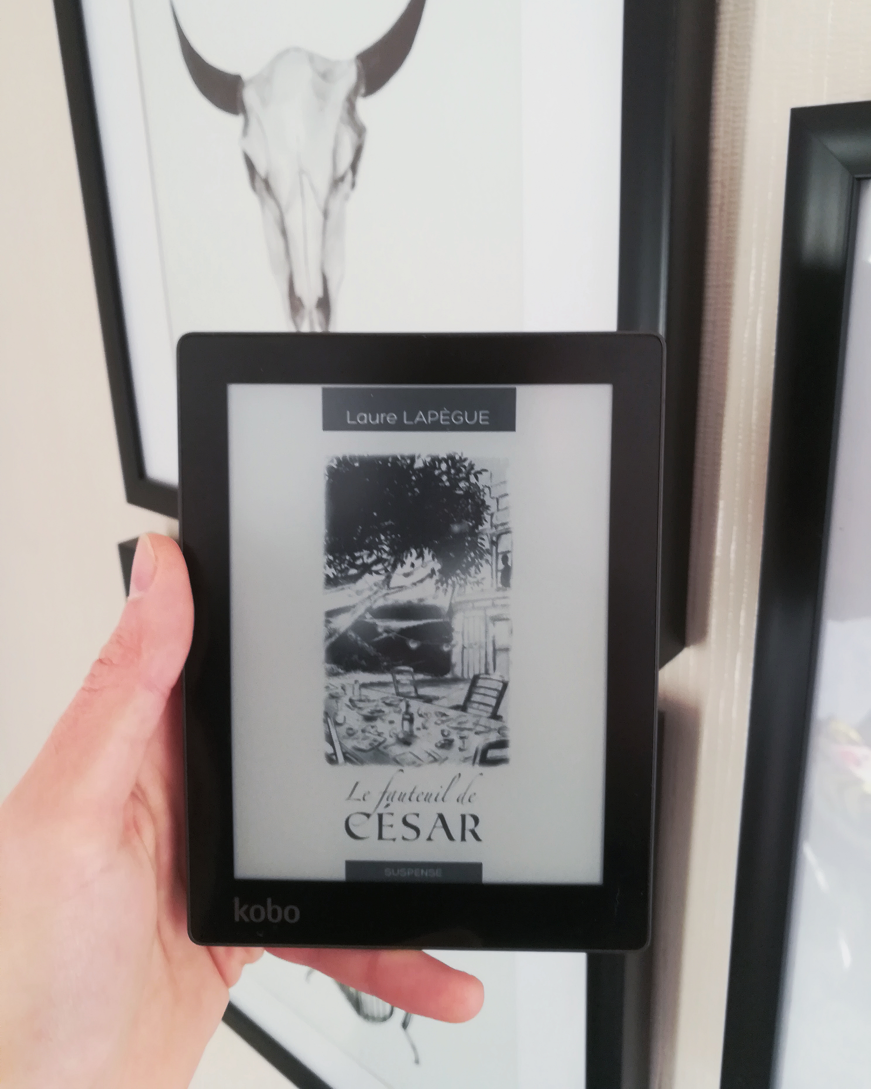 tomabooks-le-fauteuil-de-cesar-laure-lapegue