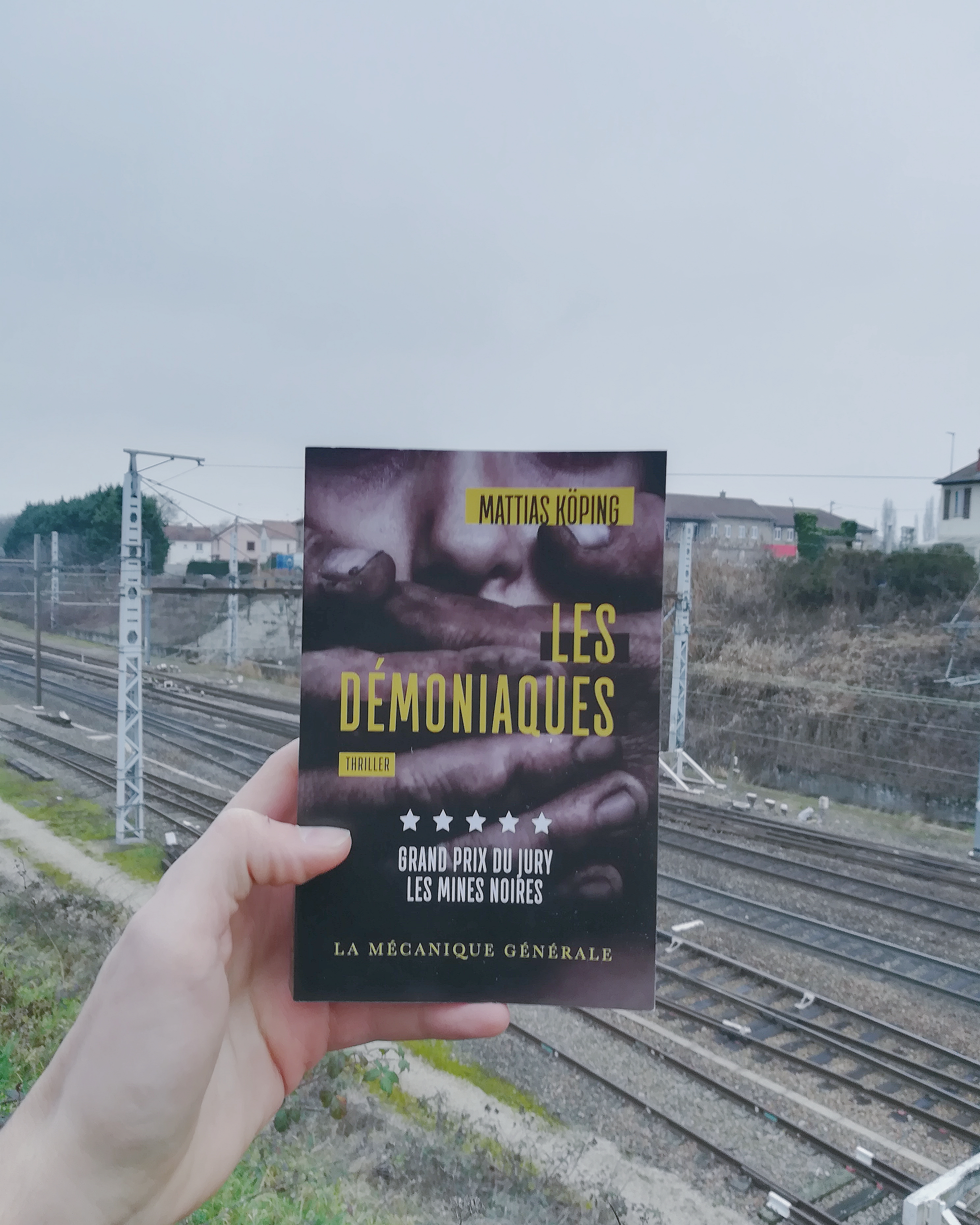 tomabooks-les-demoniaques-mattias-koping