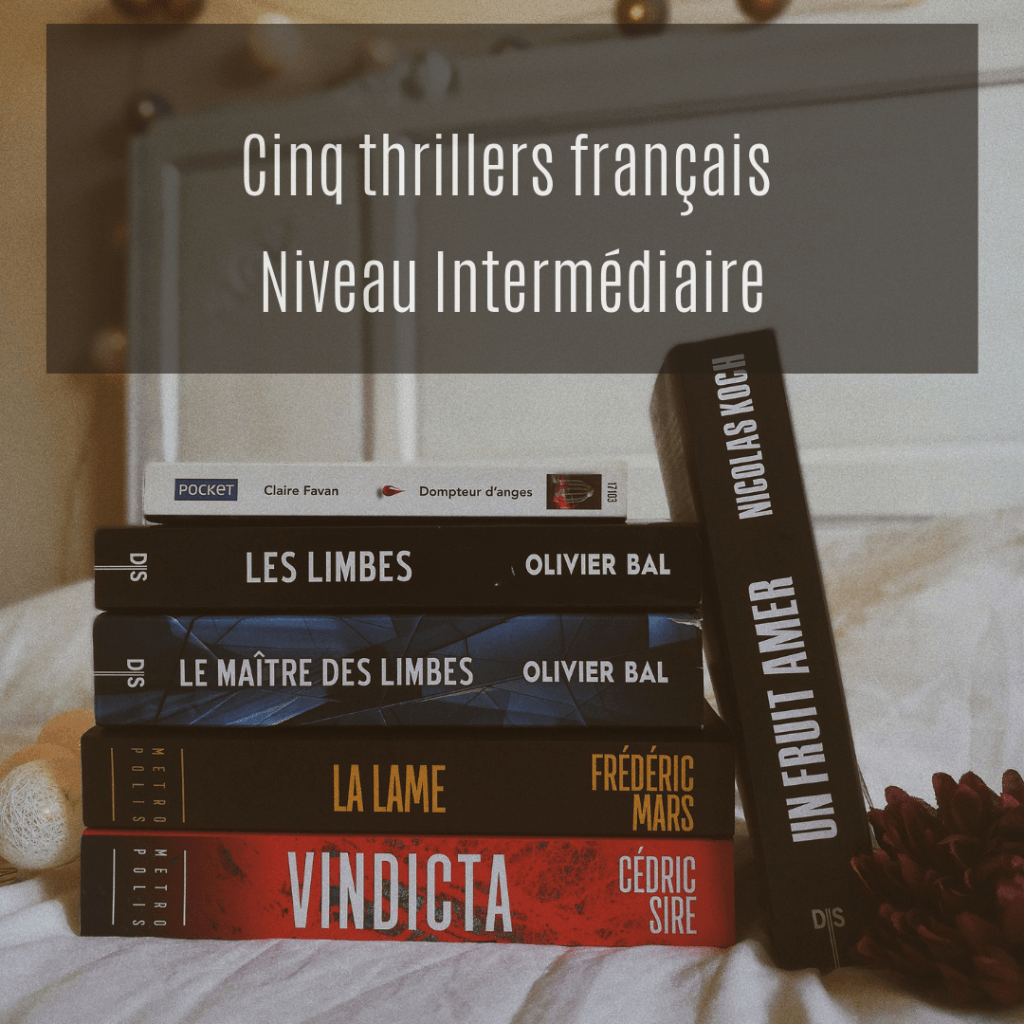 top-5-thiller-francais