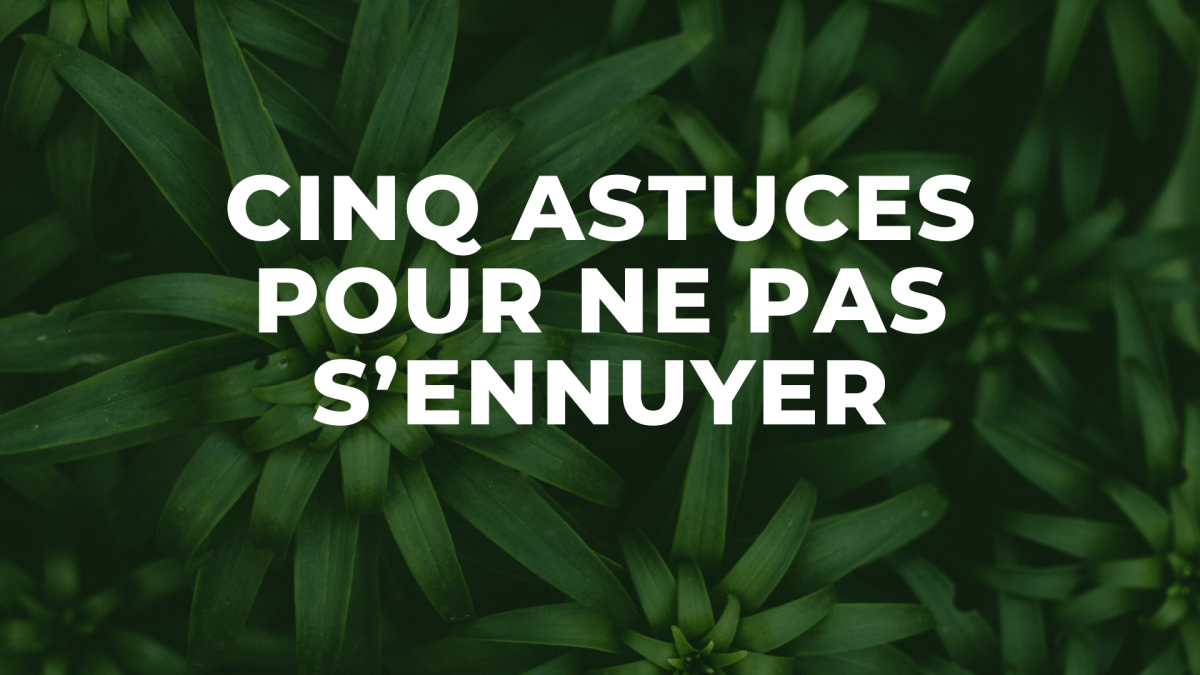 Comment Faire Pour Ne Pas S Ennuyer A La Maison