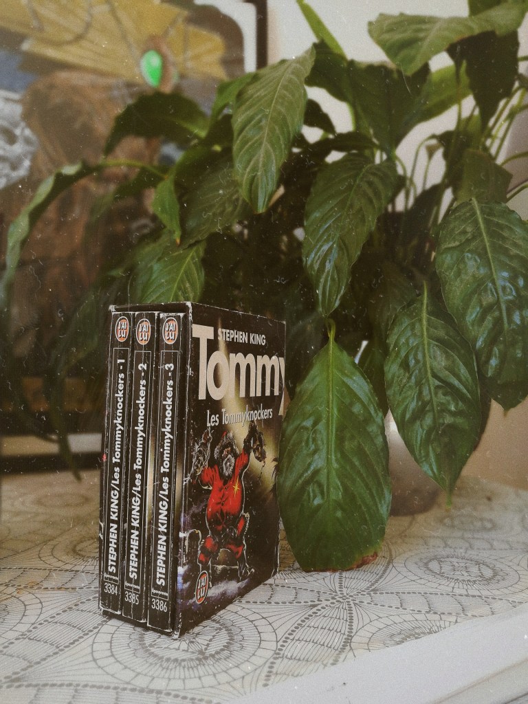 avis Les Tommyknockers Stephen King