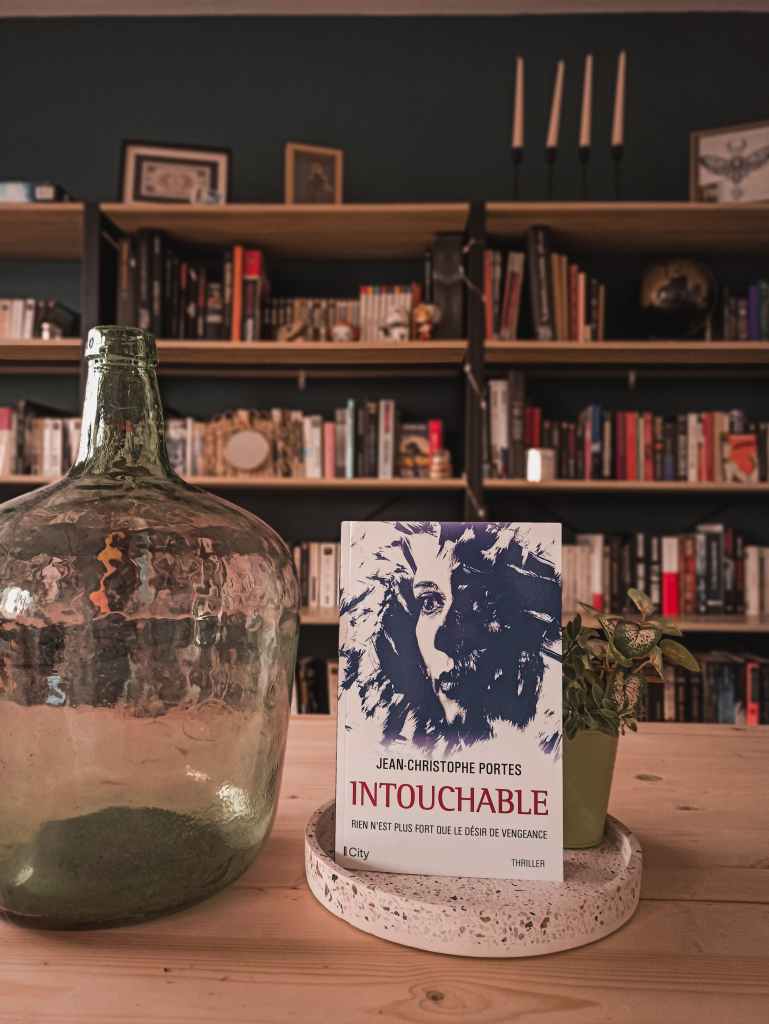 avis roman de Jean-Christophe Portes Intouchable City Editions
