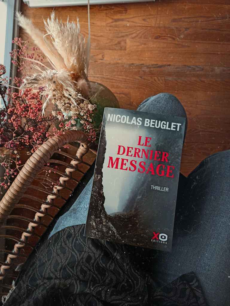 avis-le-dernier-message-nicolas-beuglet