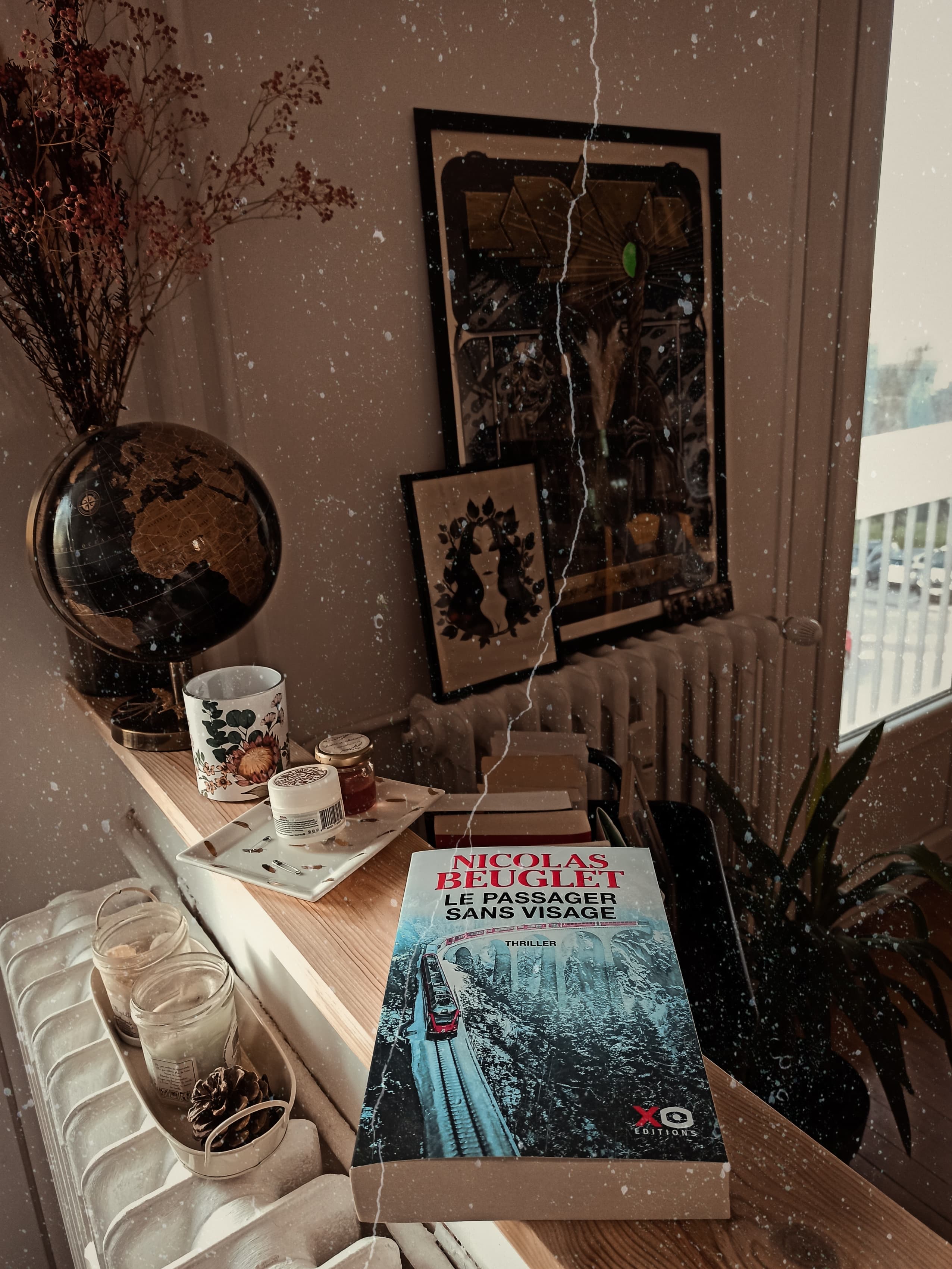 avis-le-passager-sans-visage-nicolas-beuglet