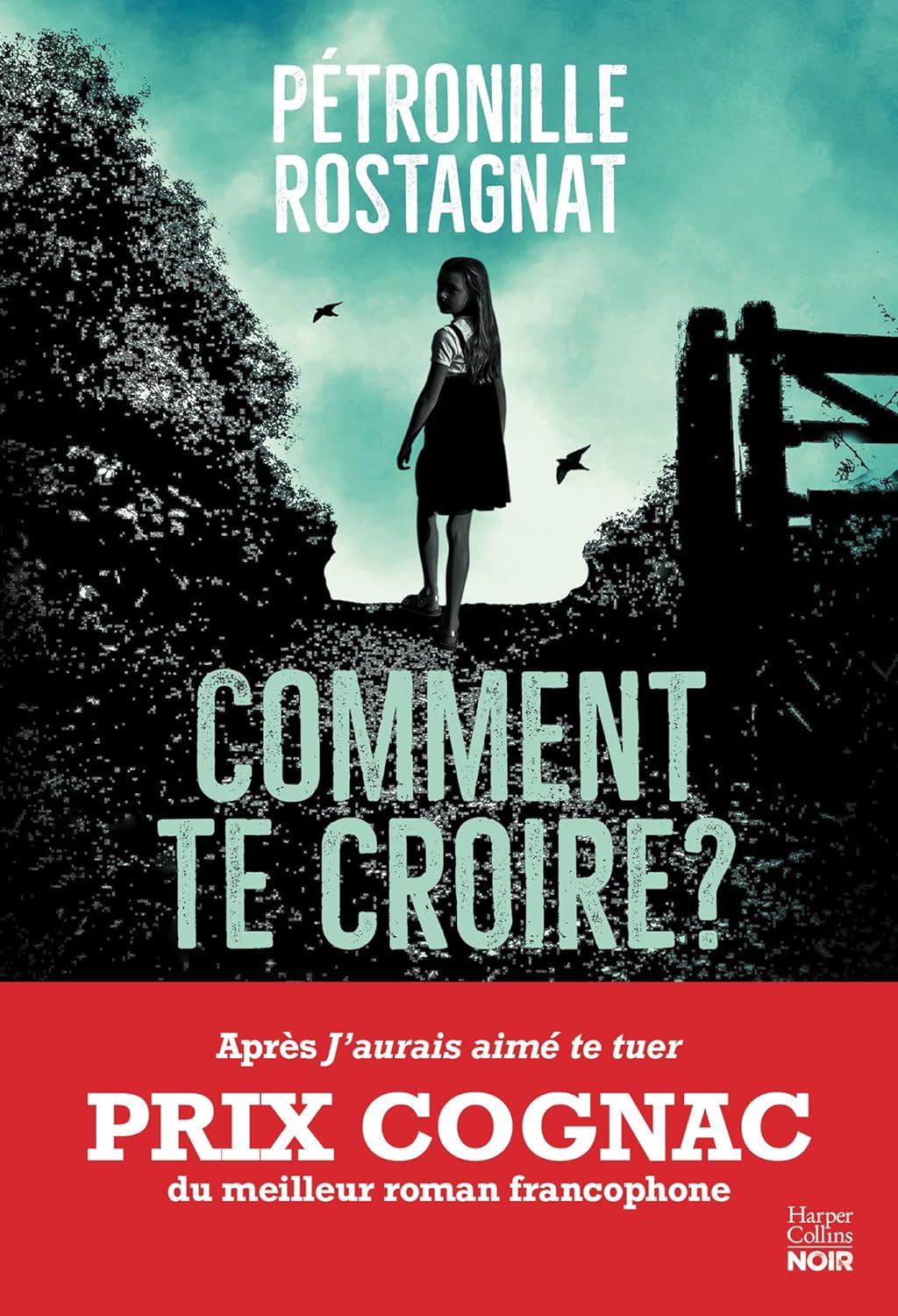 Couverture du roman Comment te croire ? de Pétronille Rostagnat