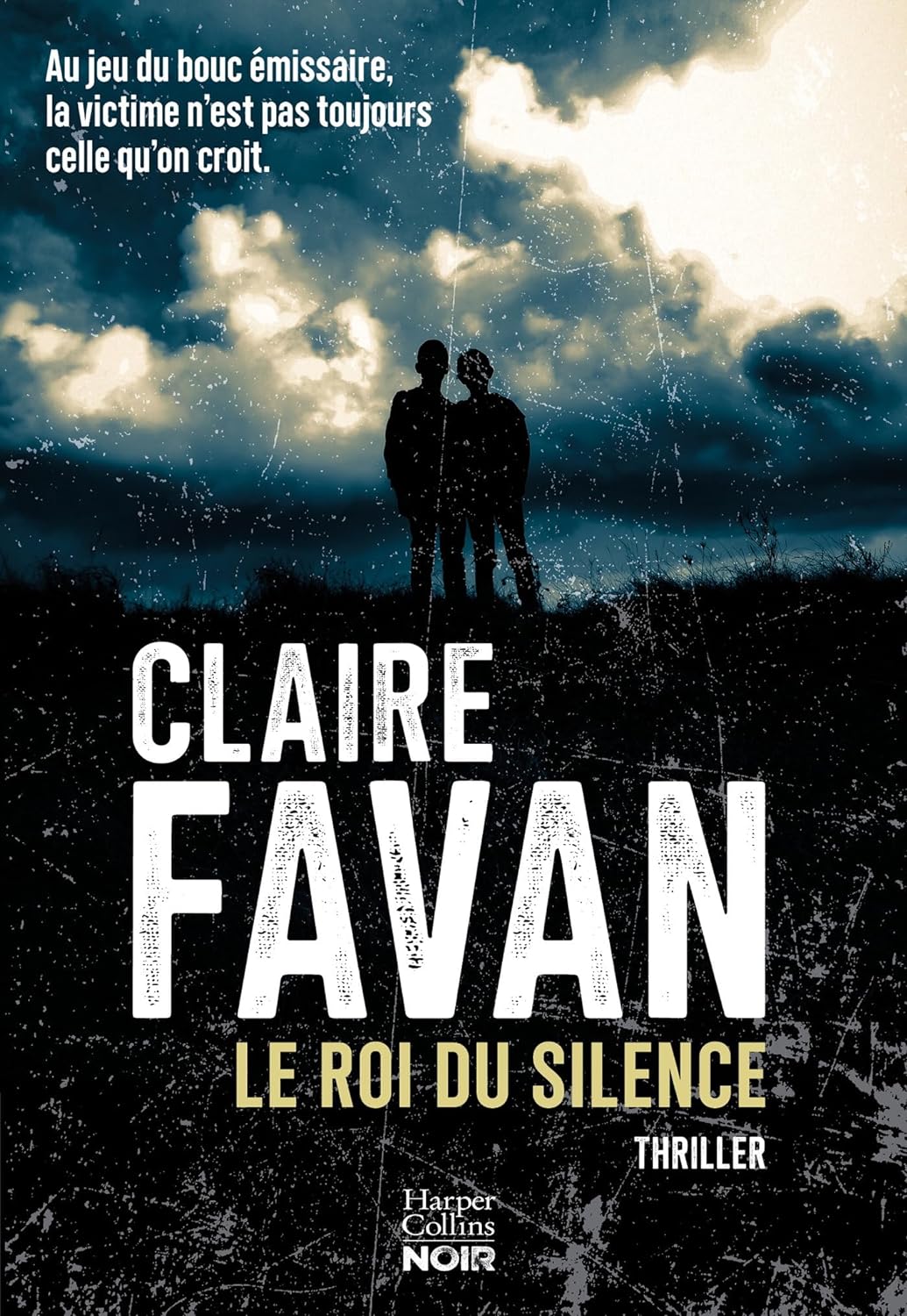 Couverture roman Le roi du silence de Claire Favan